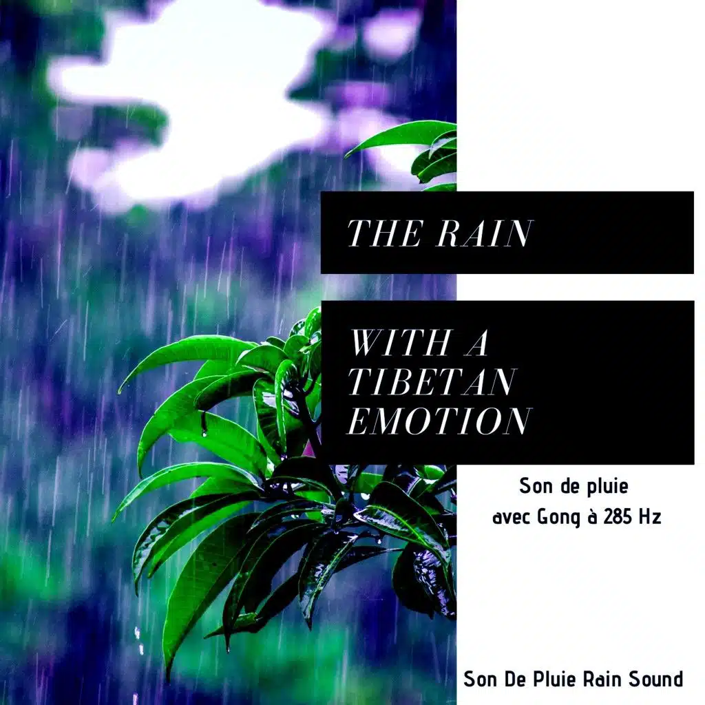 Son De pluie Rain Sound
