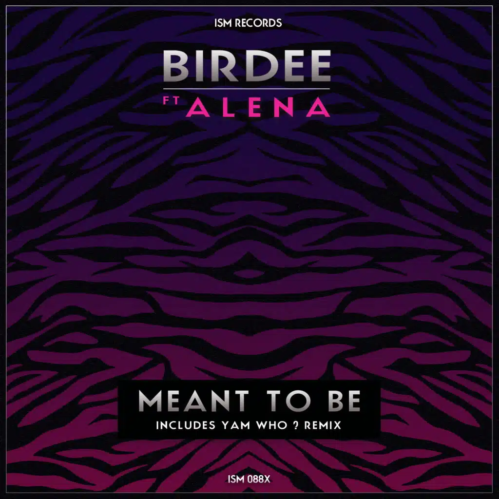 Meant to Be  [feat. Alena]