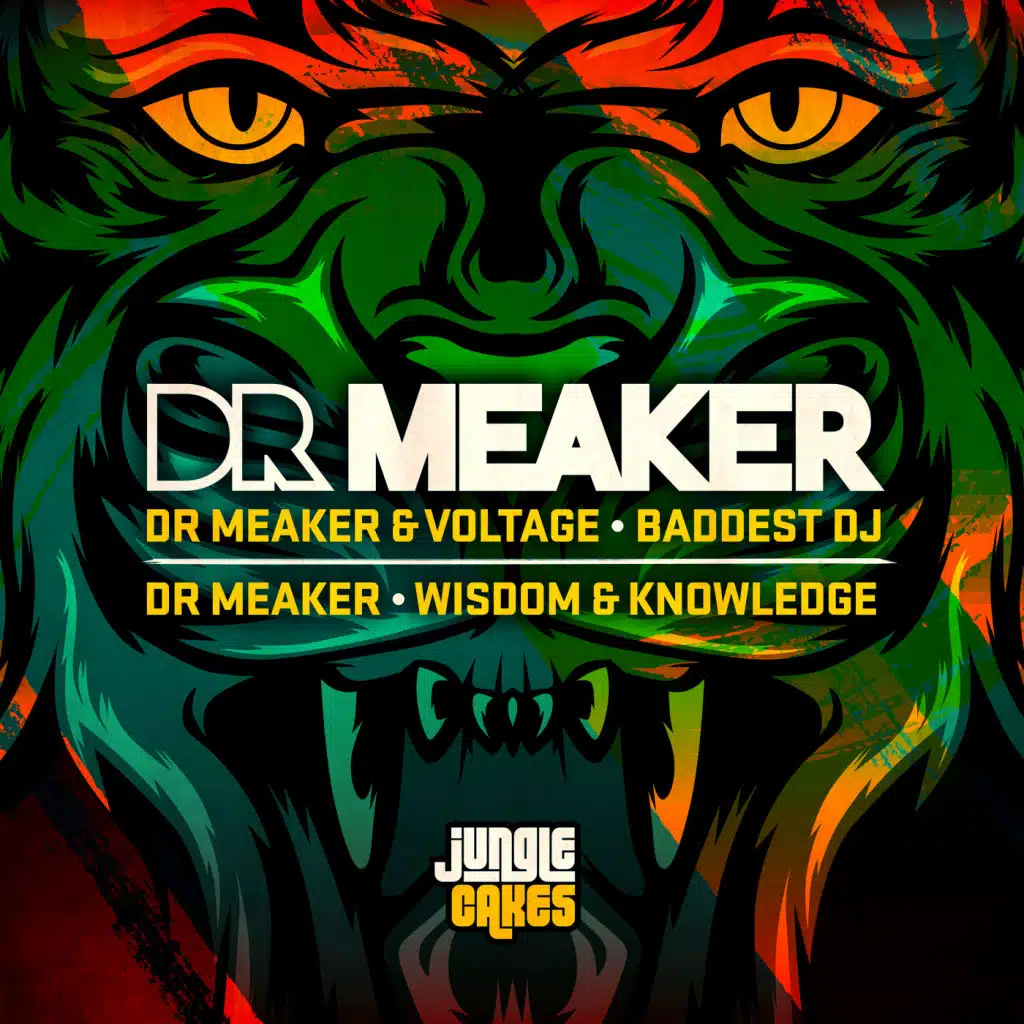 Dr Meaker & Voltage (SP)