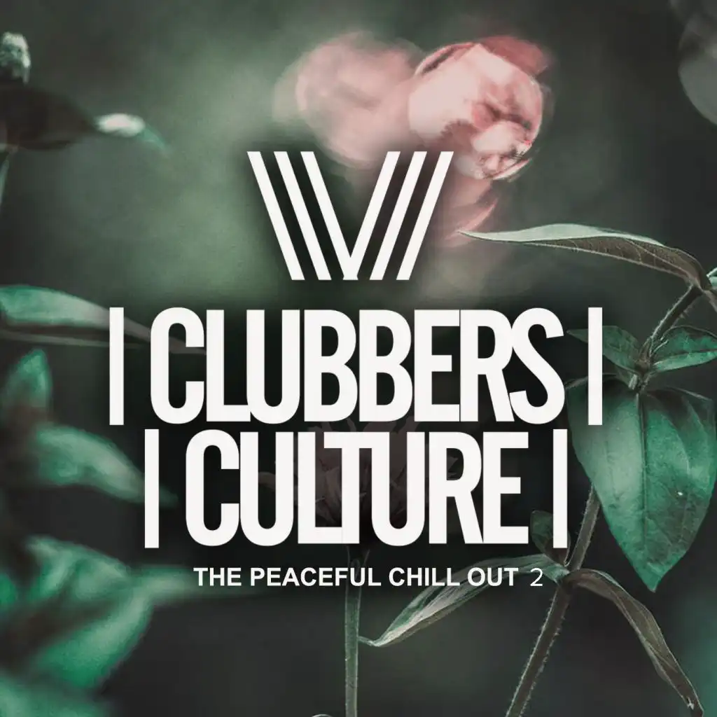 Clubbers Culture: The Peacefull Chill Out 2