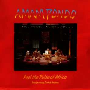 Feel the Pulse of Africa (Live)