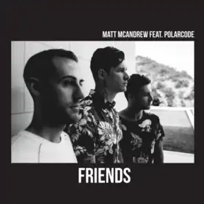 Friends (feat. Polarcode)
