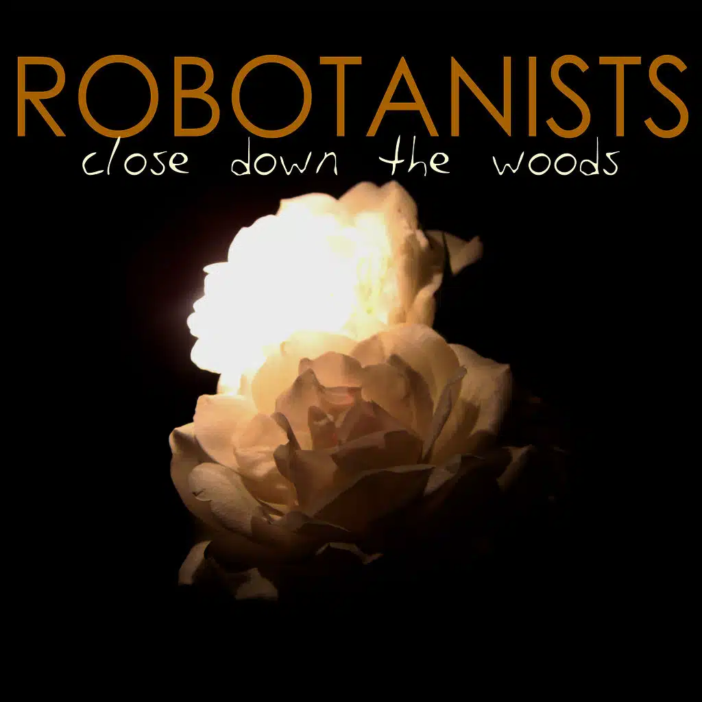 Close Down The Woods