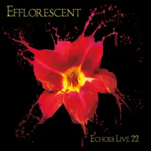 Efflorescent: Echoes Live 22