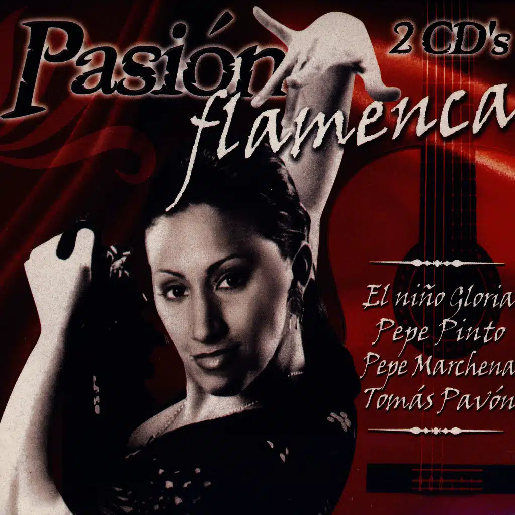 Pasión Flamenca