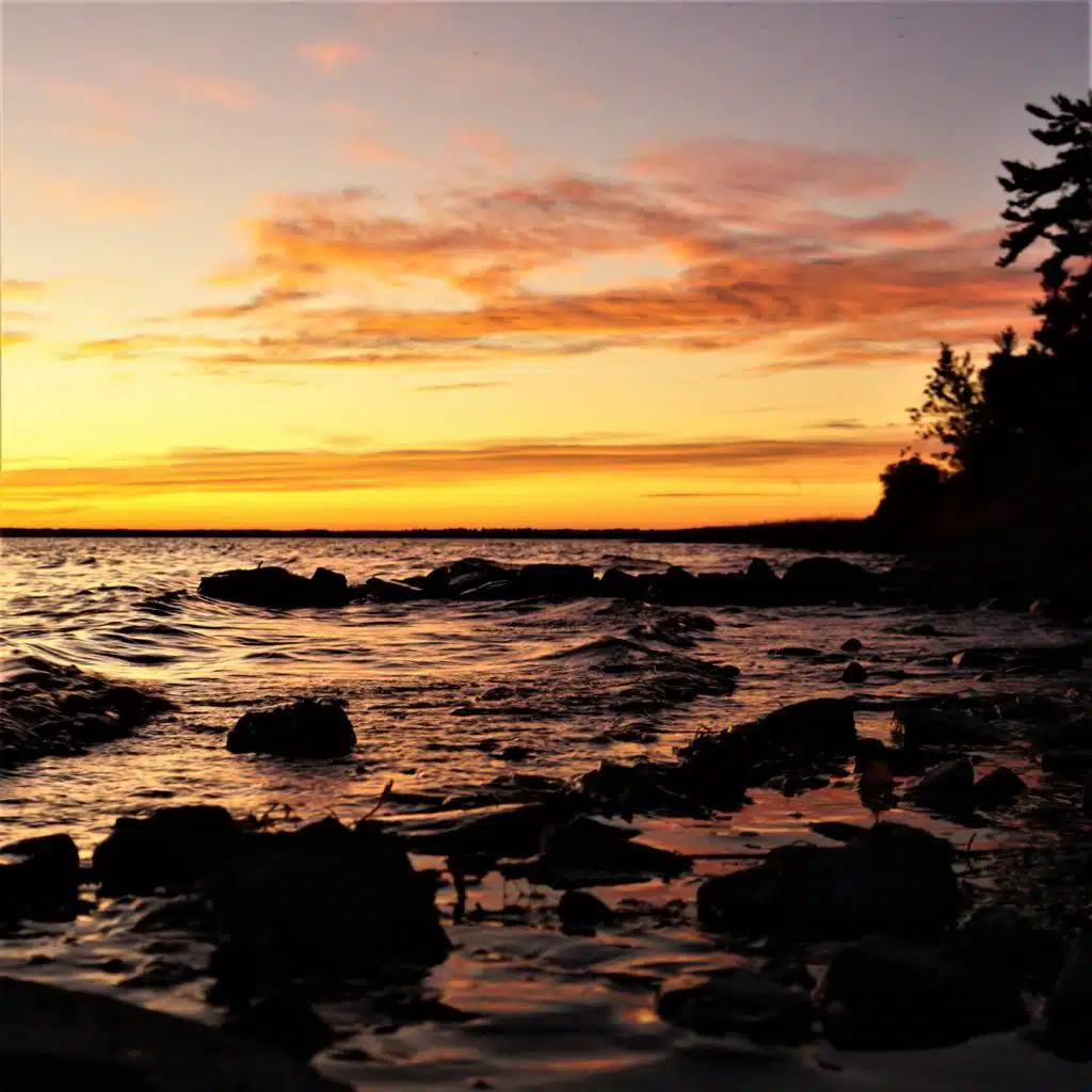 Medieval Celtic Folk Dance Fantasy for Lute & Violin