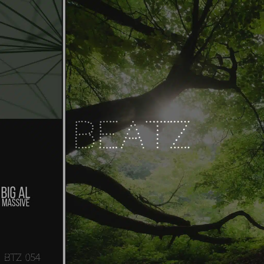 Massive (Soul Trip Remix)