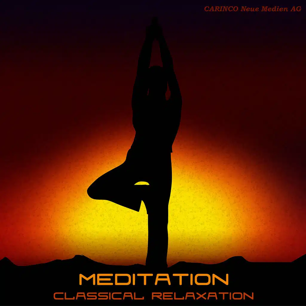 Meditation - Classical Relaxation Vol. 7