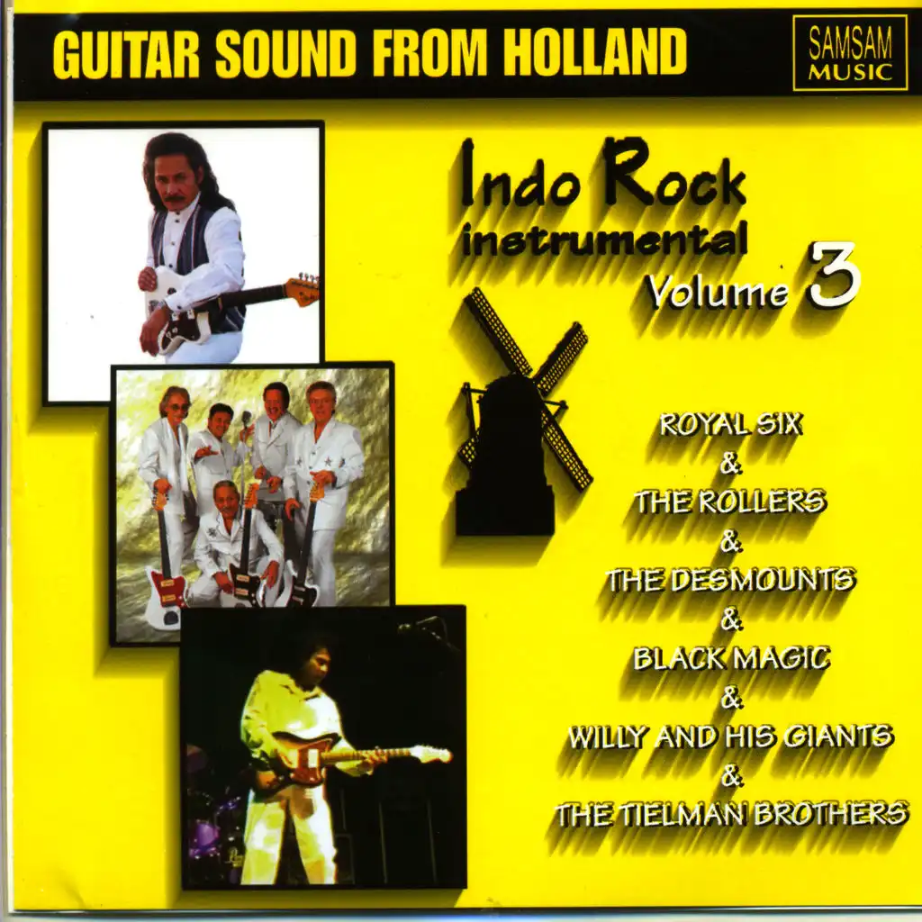 Guitar Sound From Holland 3