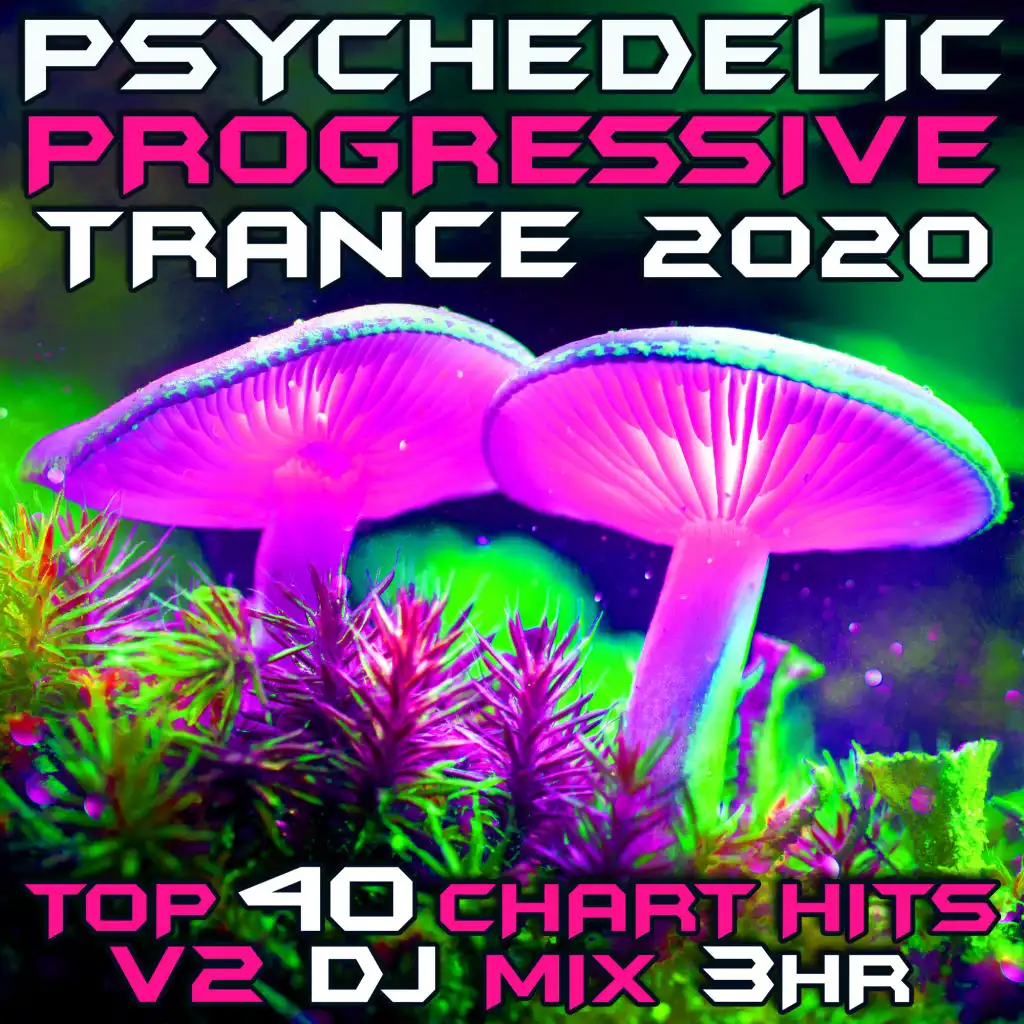 Psychedelic Progressive Trance 2020 Chart Hits, Vol. 2 (Goa Doc 3Hr DJ Mix)