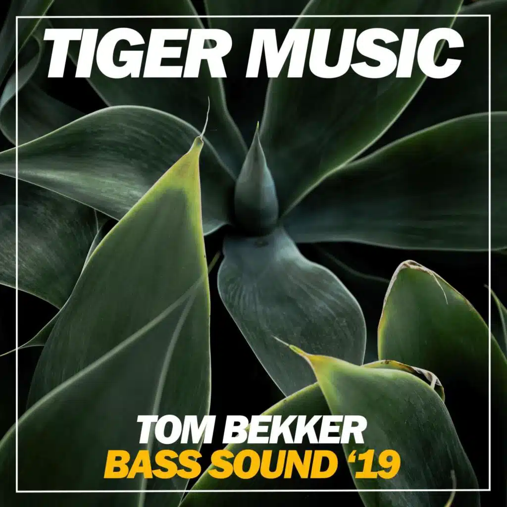 Bass Sound (Croatia Jam Remix)