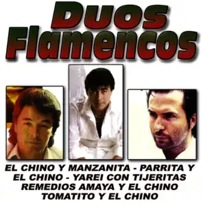 Duos Flamencos