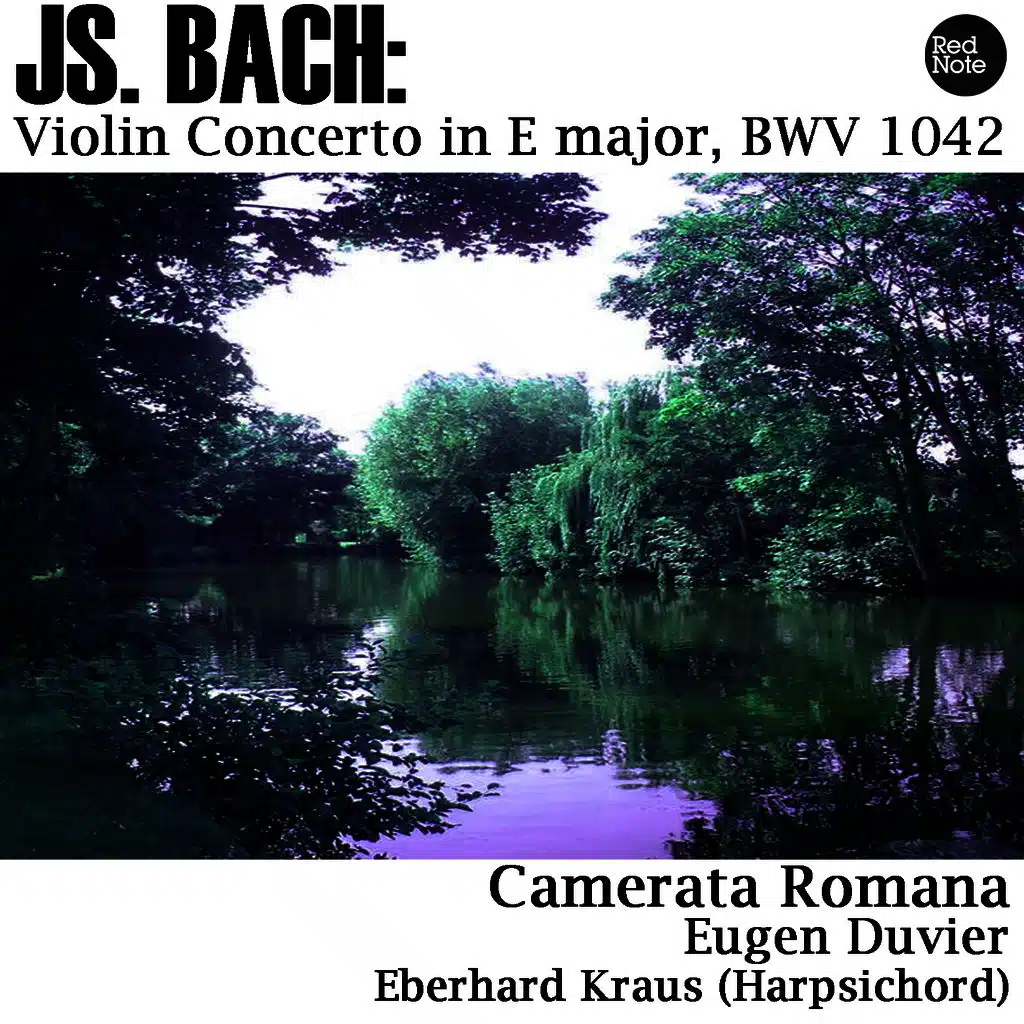 Violin Concerto in E major, BWV 1042: II. Adagio