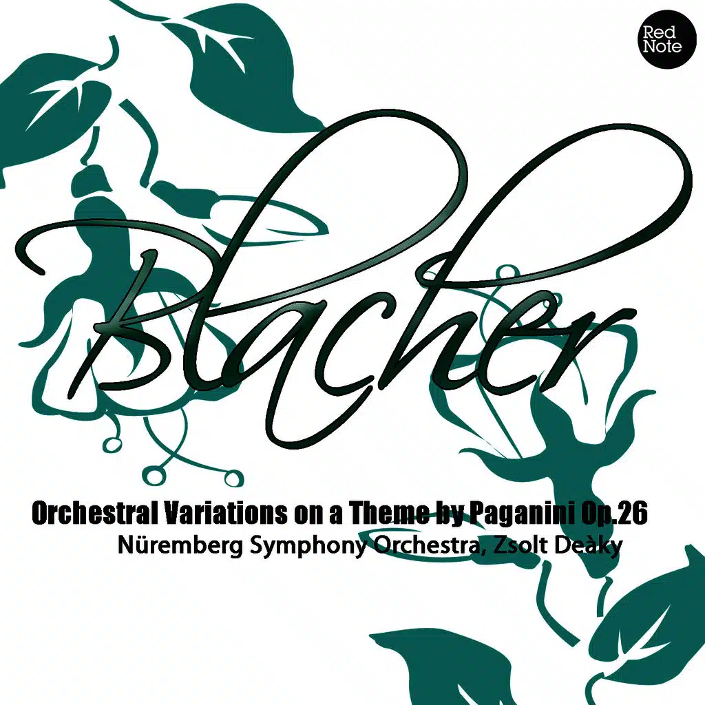 Nüremberg Symphony Orchestra & Zsolt Deàky