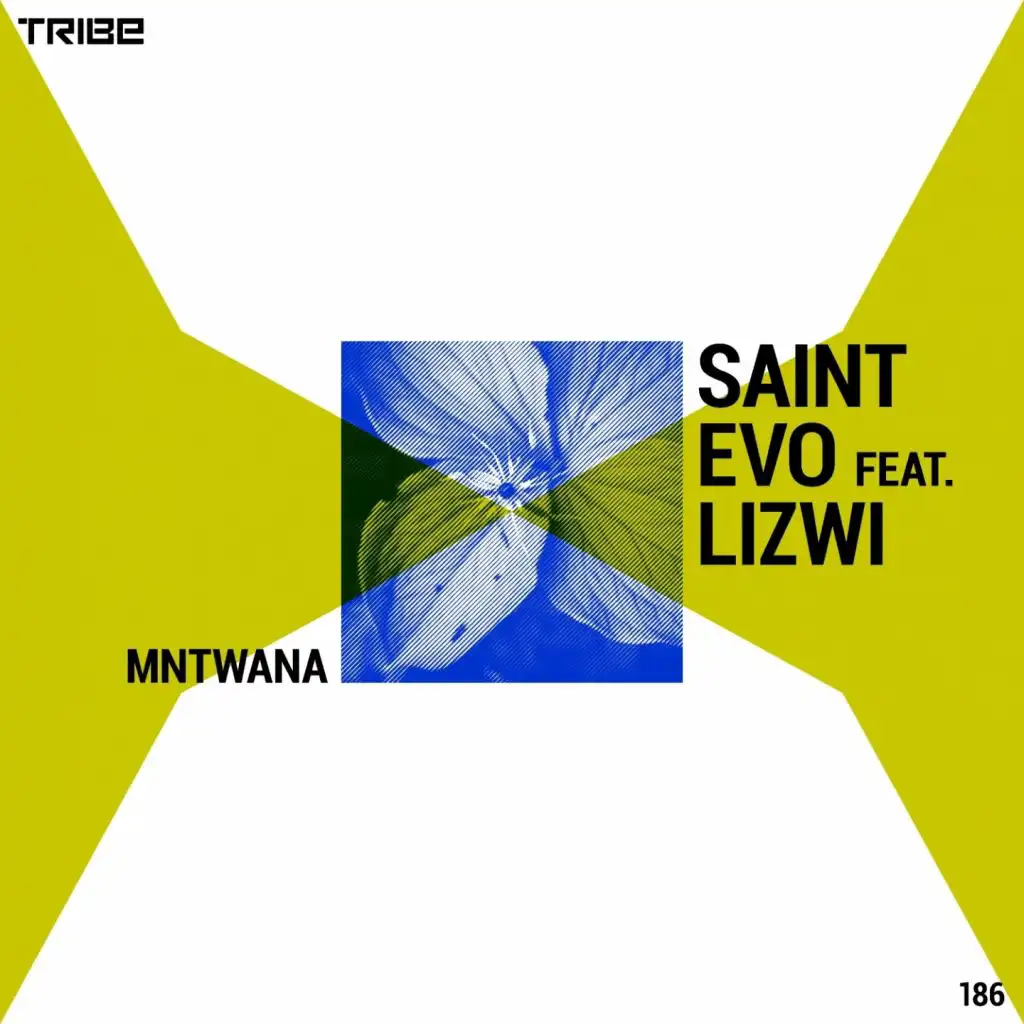 Mntwana (Instrumental) [feat. Lizwi]