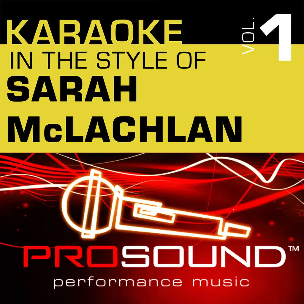I Will Remember You (Karaoke Lead Vocal Demo)[In the style of Sarah McLachlan]