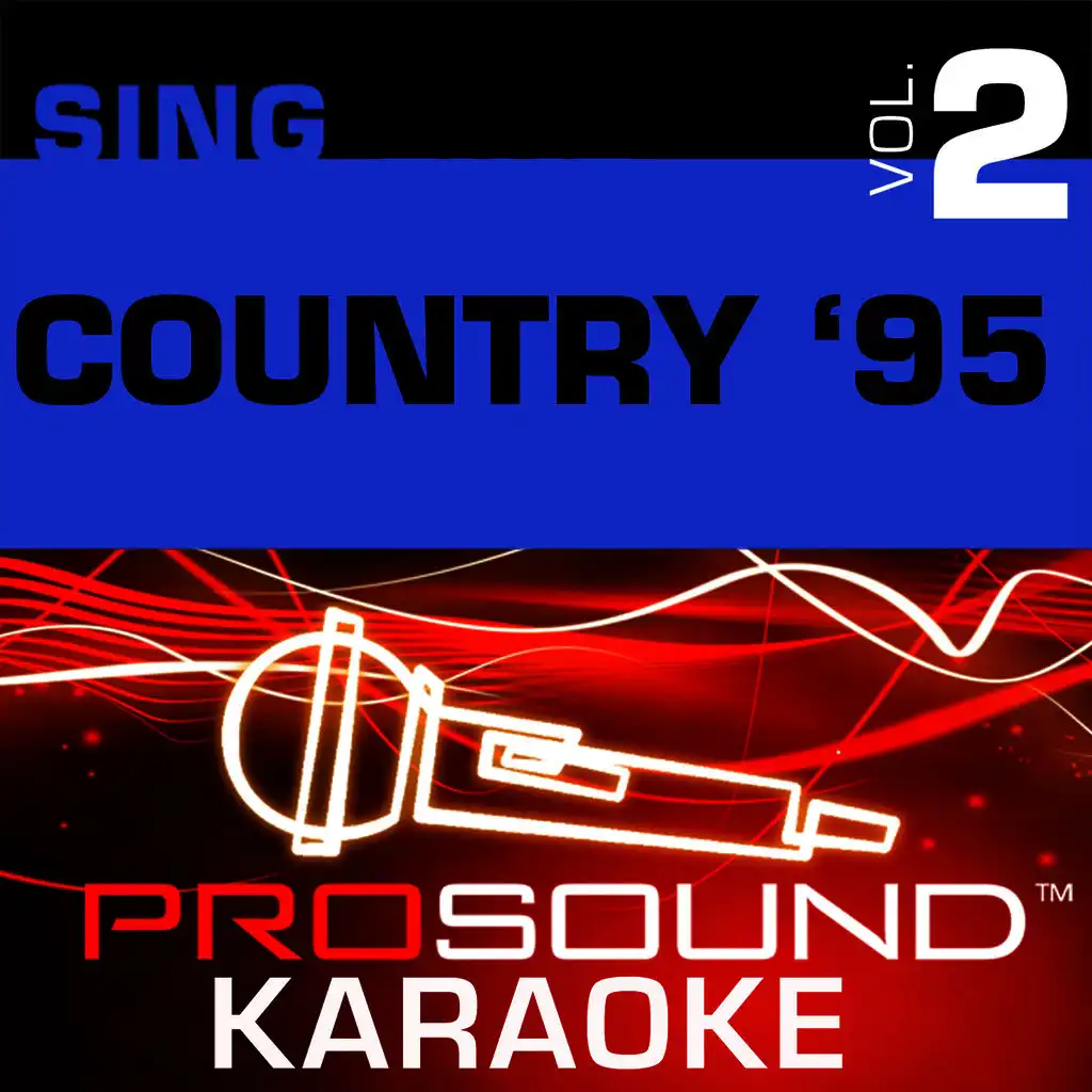 Sing Country '95 v.2 (Karaoke Performance Tracks)