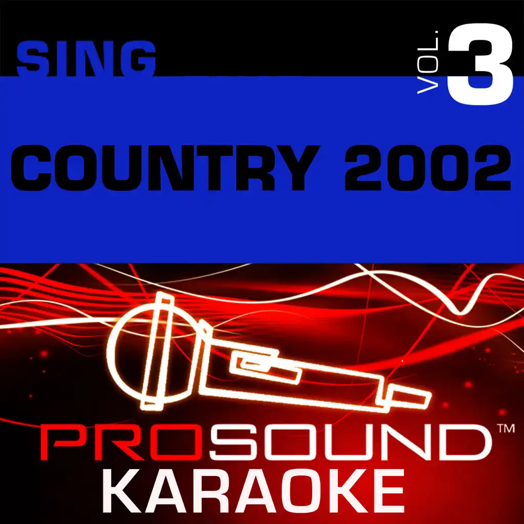 The Long Goodbye (Karaoke with Background Vocals) [In the Style of Brooks and Dunn]