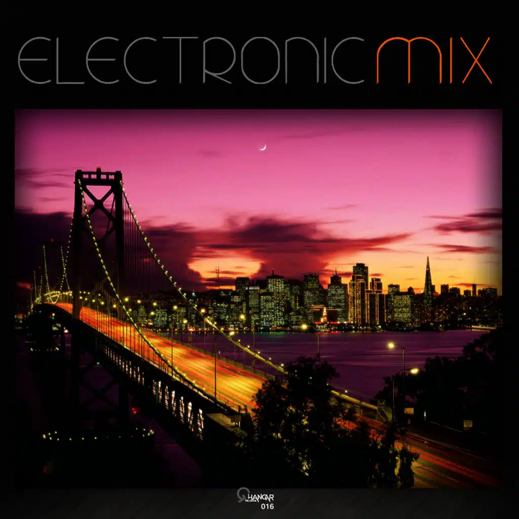 Electronic Mix