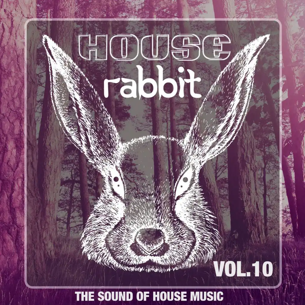 House Rabbit Vol. 10 (The Sound of House Music)