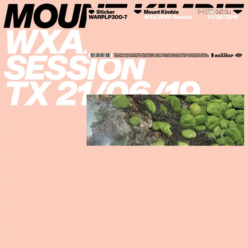 Marilyn (feat. Micachu) (WXAXRXP Session)