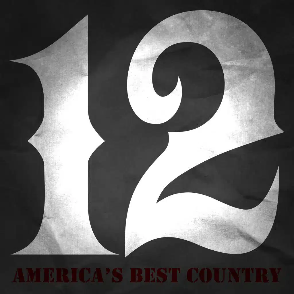 12 Huge Hits - America's Best Country