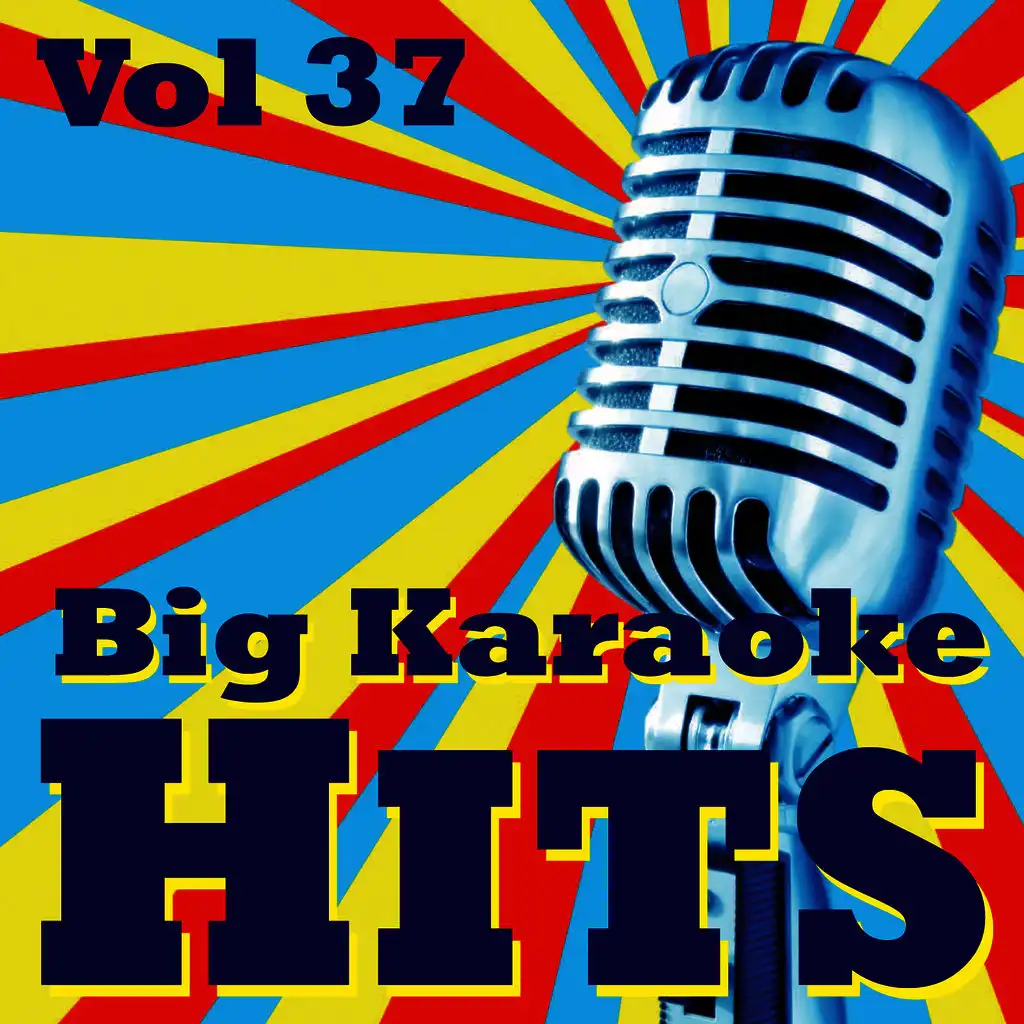 Big Karaoke Hits Vol.37