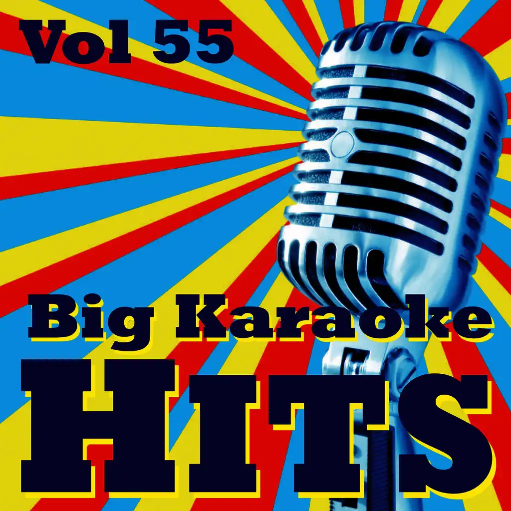 Big Karaoke Hits Vol.55