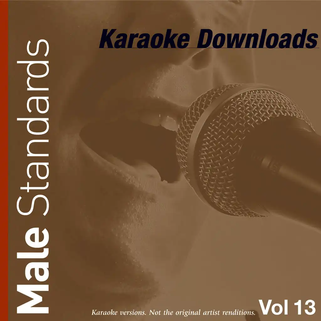 Karaoke Downloads - Male Standards Vol.13