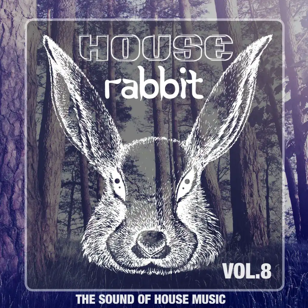 House Rabbit Vol. 8 (The Sound of House Music)