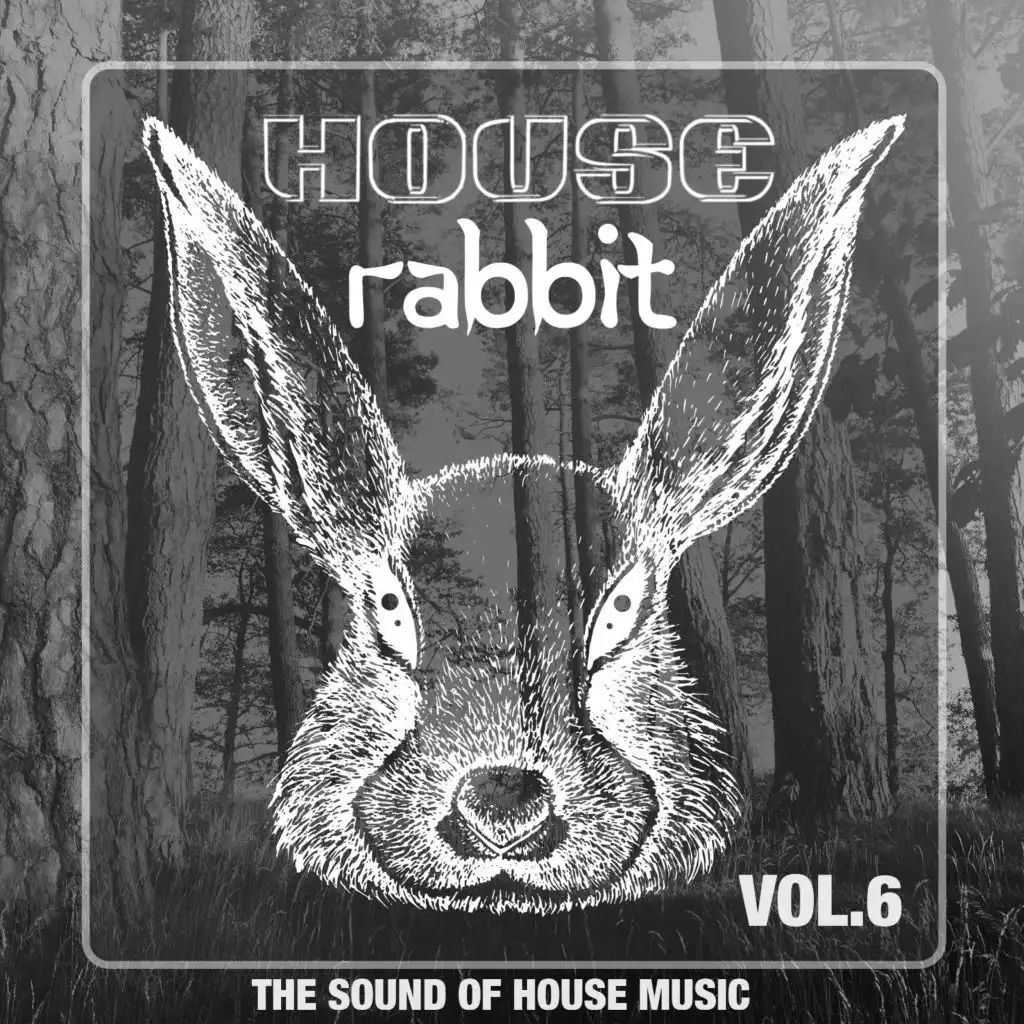 House Rabbit Vol. 6 (The Sound of House Music)