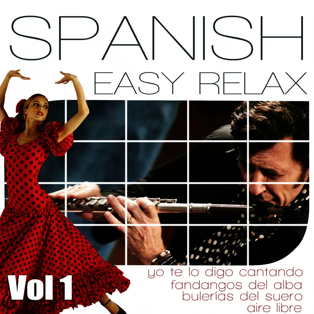 Yo Te Lo Digo Cantando