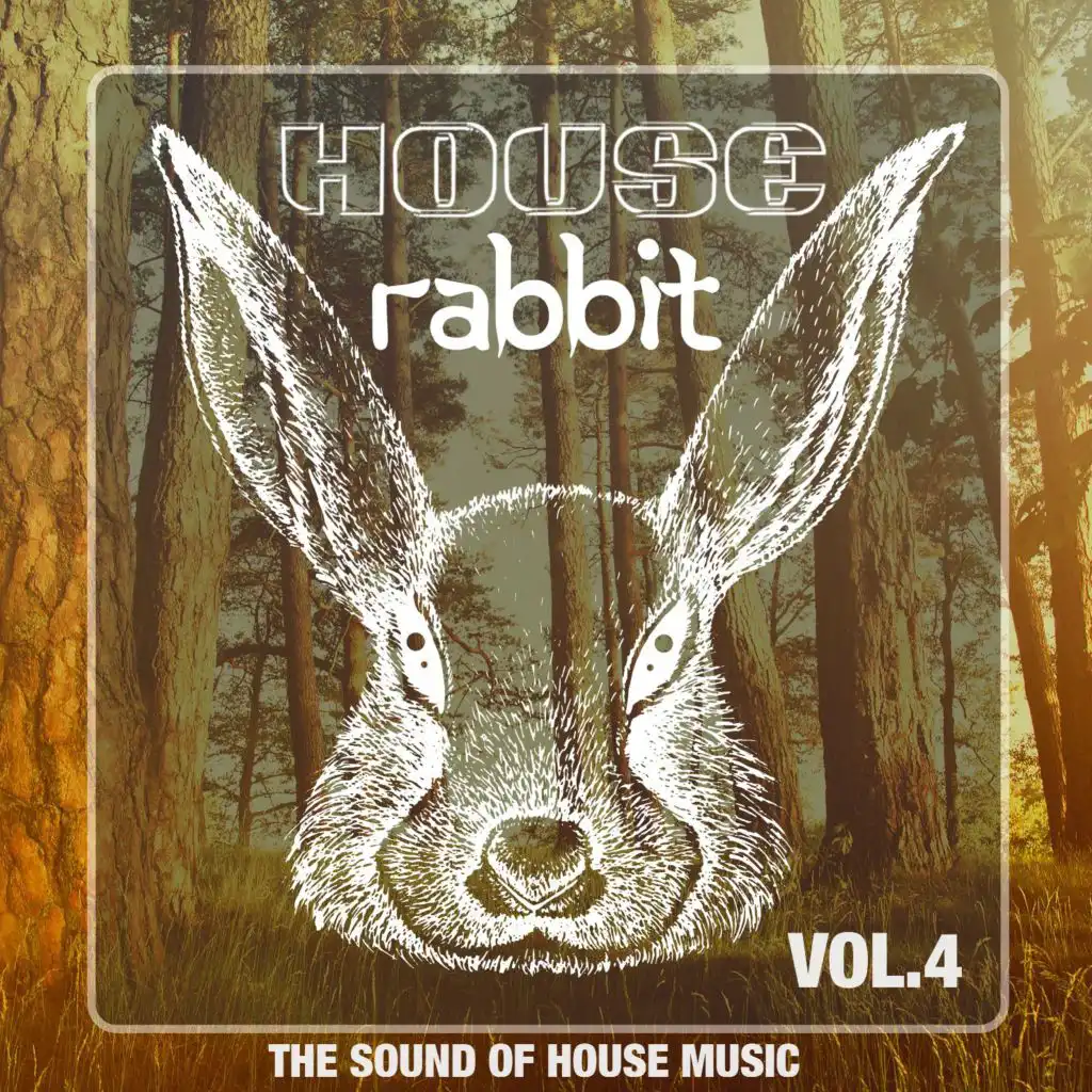 House Rabbit Vol. 4 (The Sound of House Music)