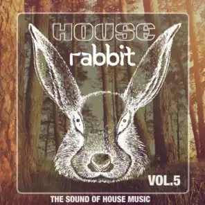House Rabbit Vol. 5 (The Sound of House Music)
