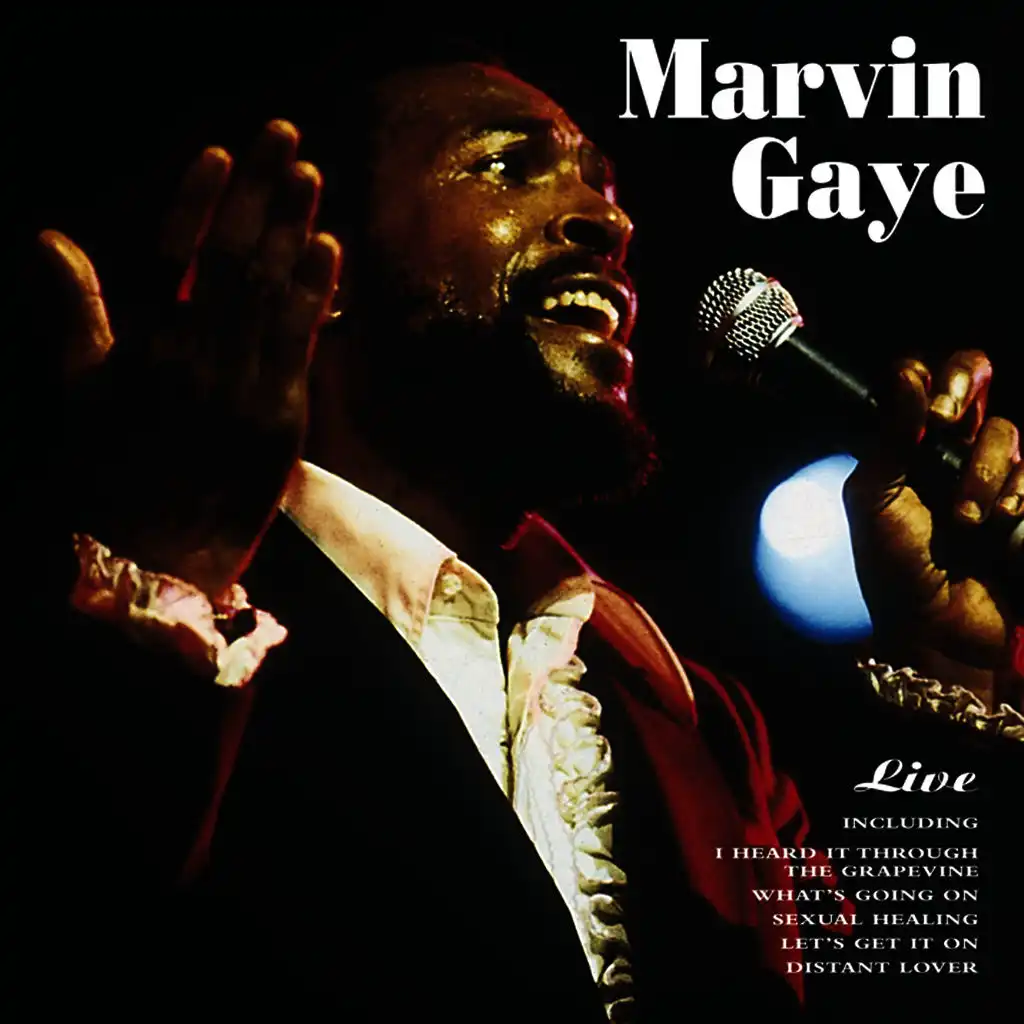 Marvin Gaye Live