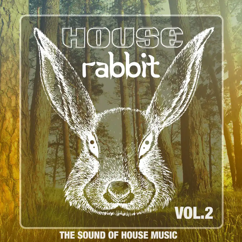 House Rabbit Vol. 2 (The Sound of House Music)