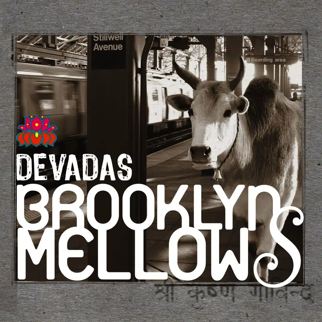 Brooklyn Mellows