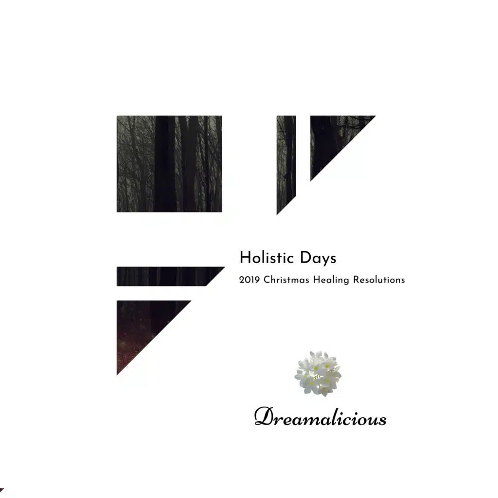 Holistic Days - 2019 Christmas Healing Resolutions