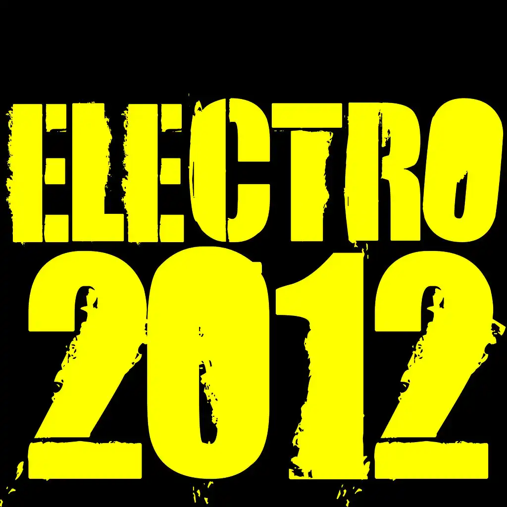 Electro 2012