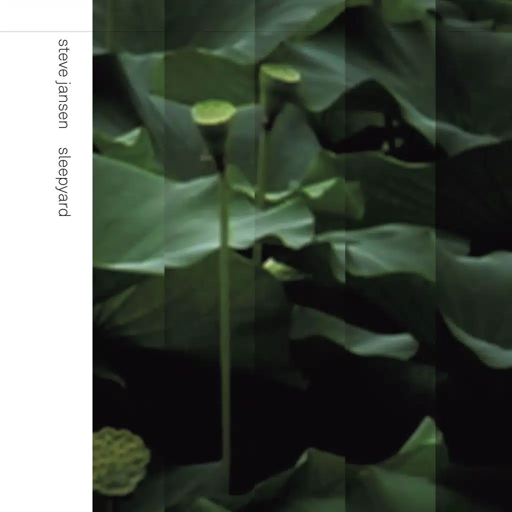 Steve Jansen & Tim Elsenburg