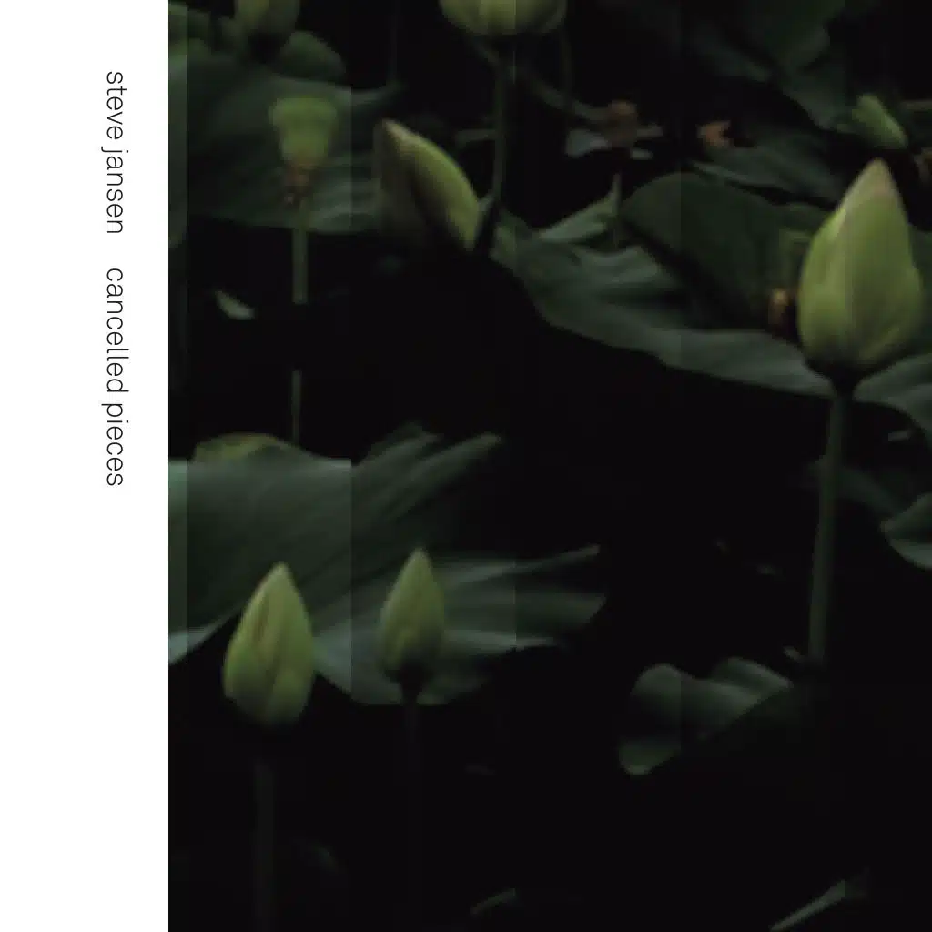 Steve Jansen & Anja Garbarek