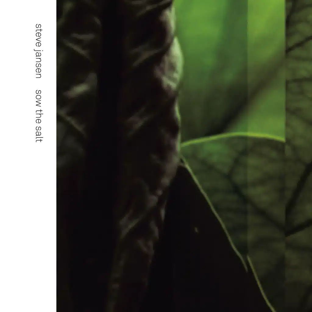 Steve Jansen & Thomas Feiner