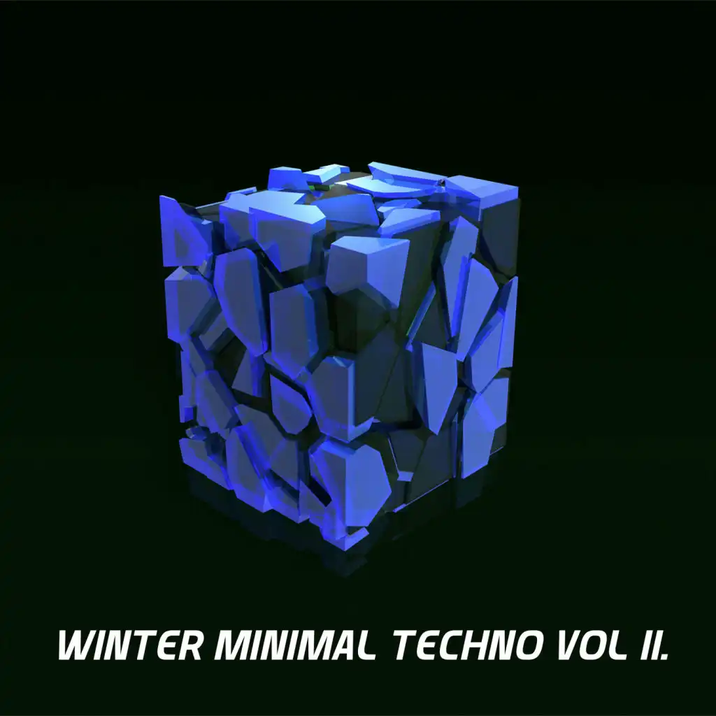 Winter Minimal Techno, Vol. 11.