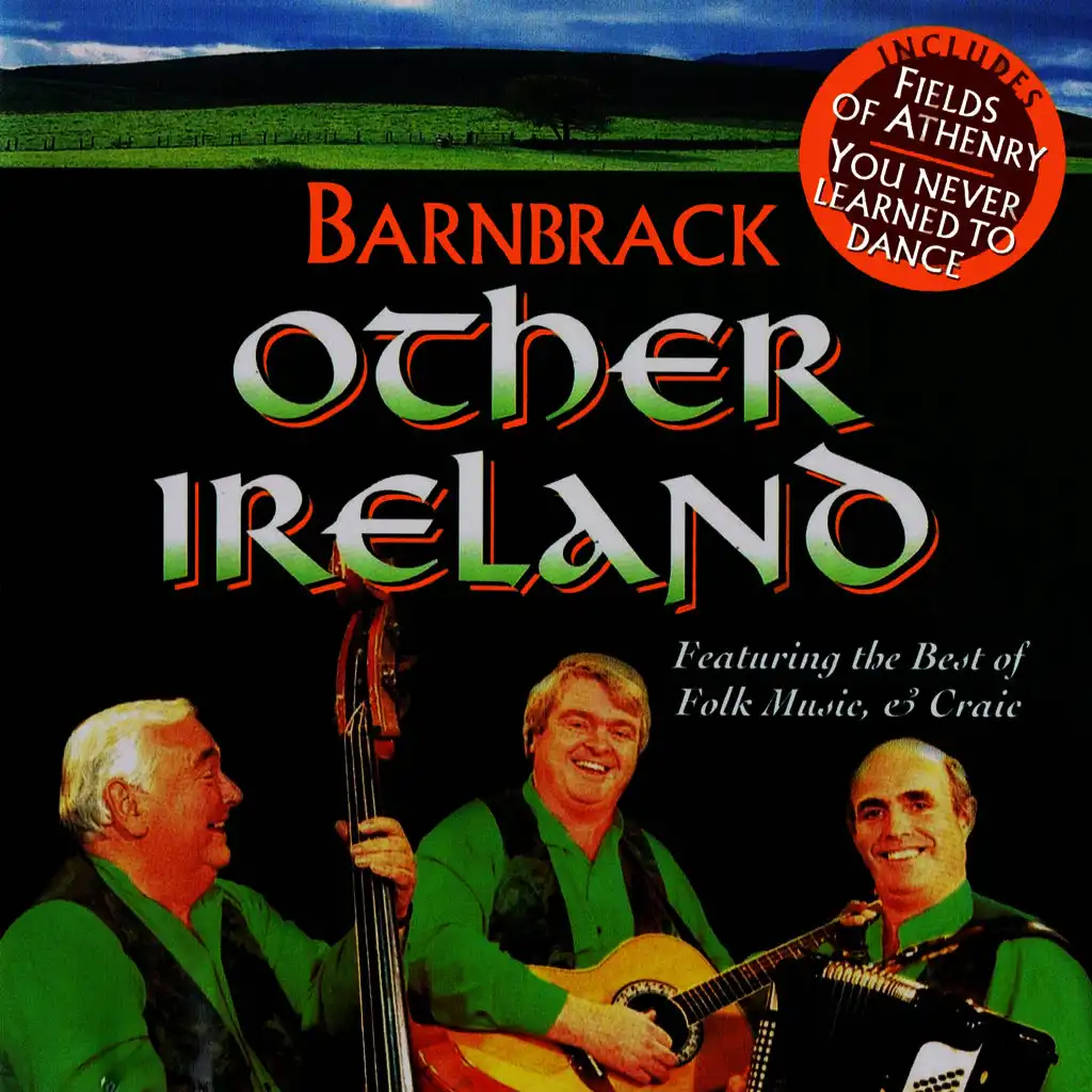 Hannigan's Hooley / Bold O' Donoghue / If You're Irish