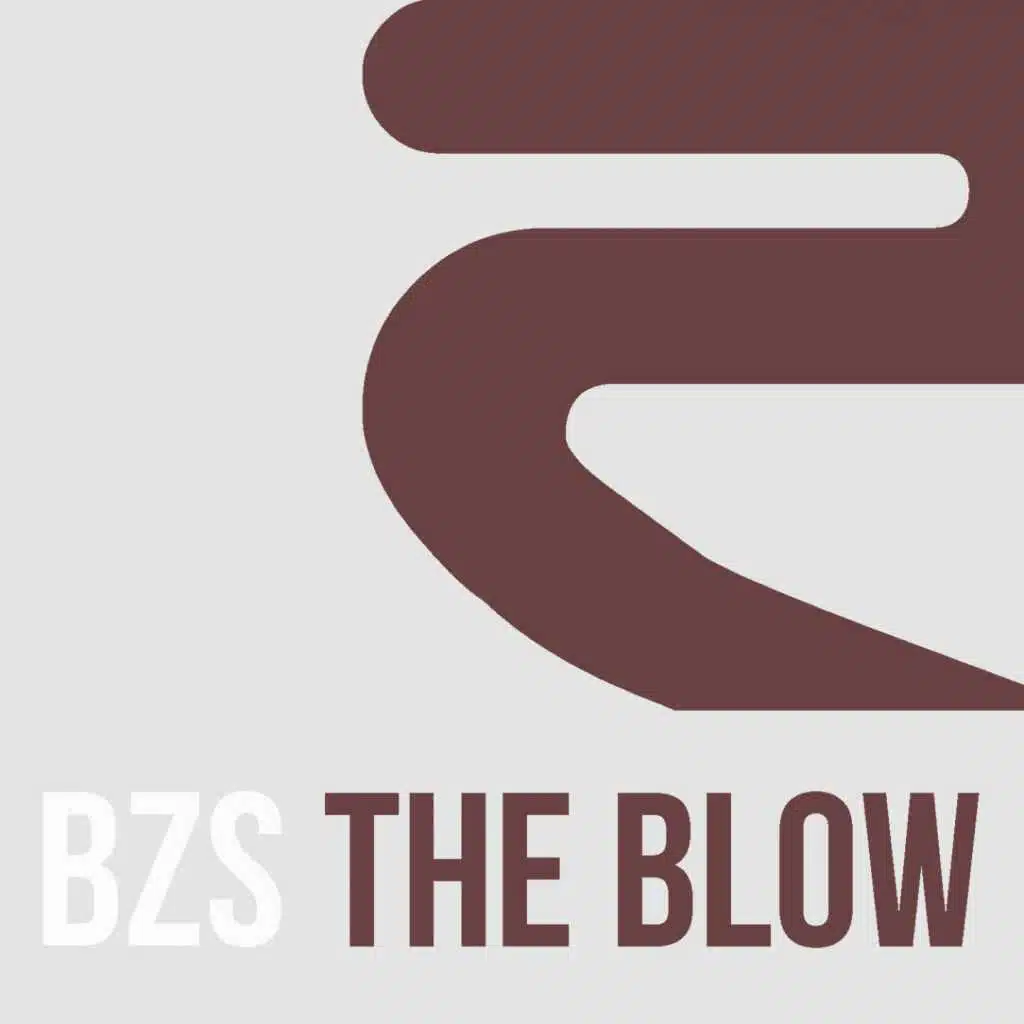 Bzs