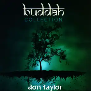 Buddah Collection