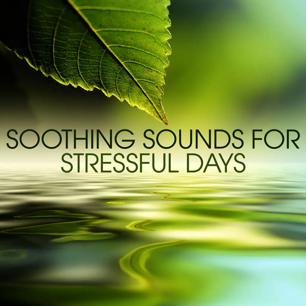 Soothing Sounds for Stressful Days