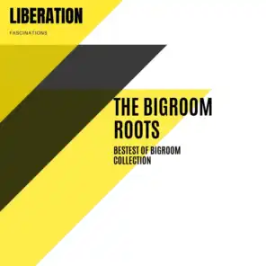 The Bigroom Roots: Bestest of Bigroom Collection