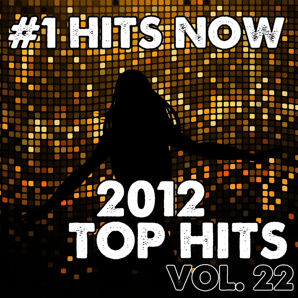 2012 Top Hits, Vol. 22