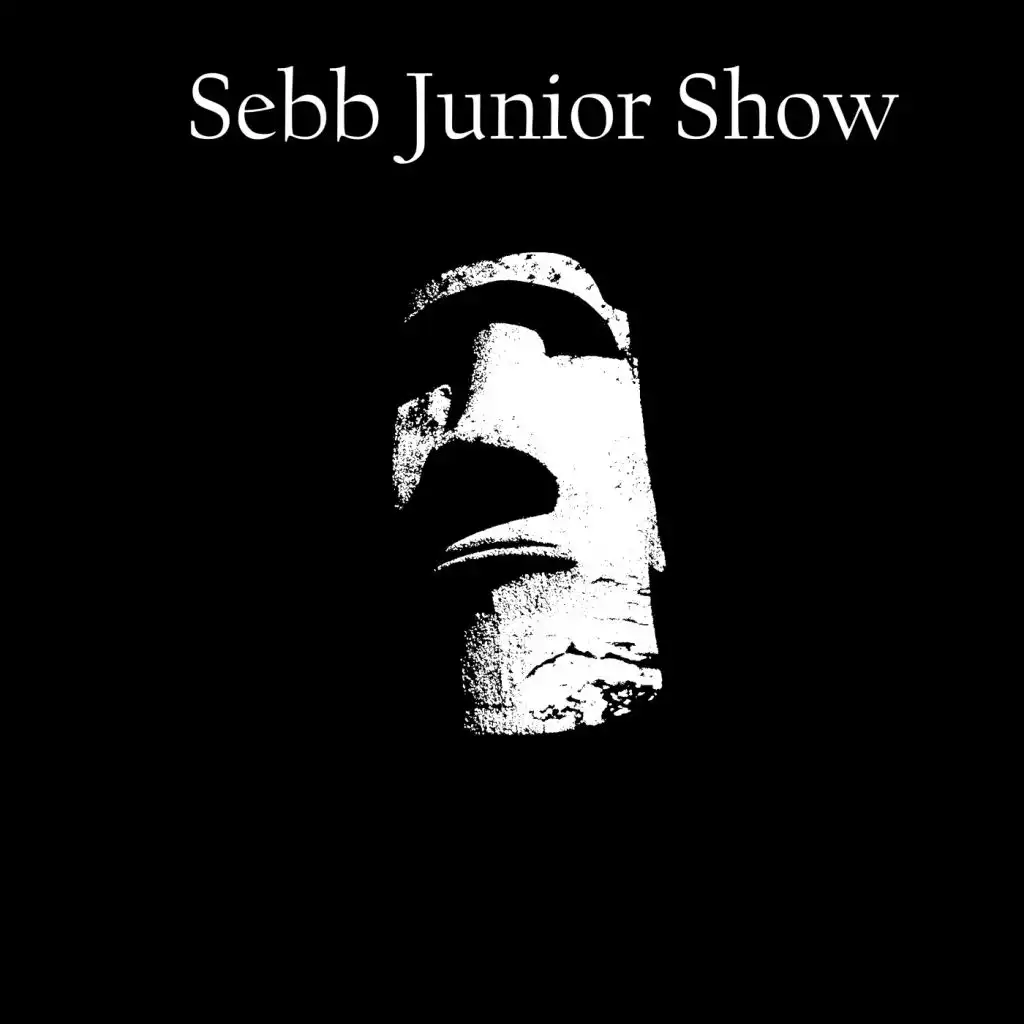 Count On Me (Sebb Junior Remix)